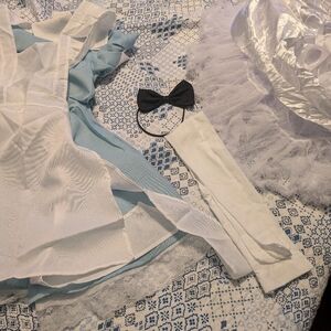 Complete Alice in Wonderland Costume!